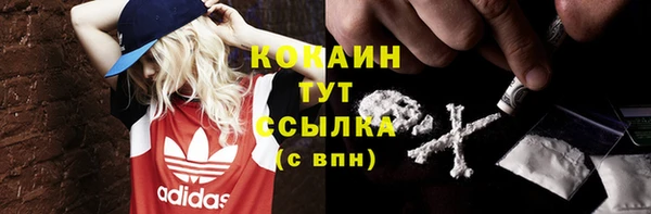 дживик Абаза
