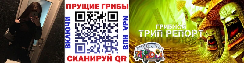 Псилоцибиновые грибы ЛСД  ссылка на мегу tor  Псков 